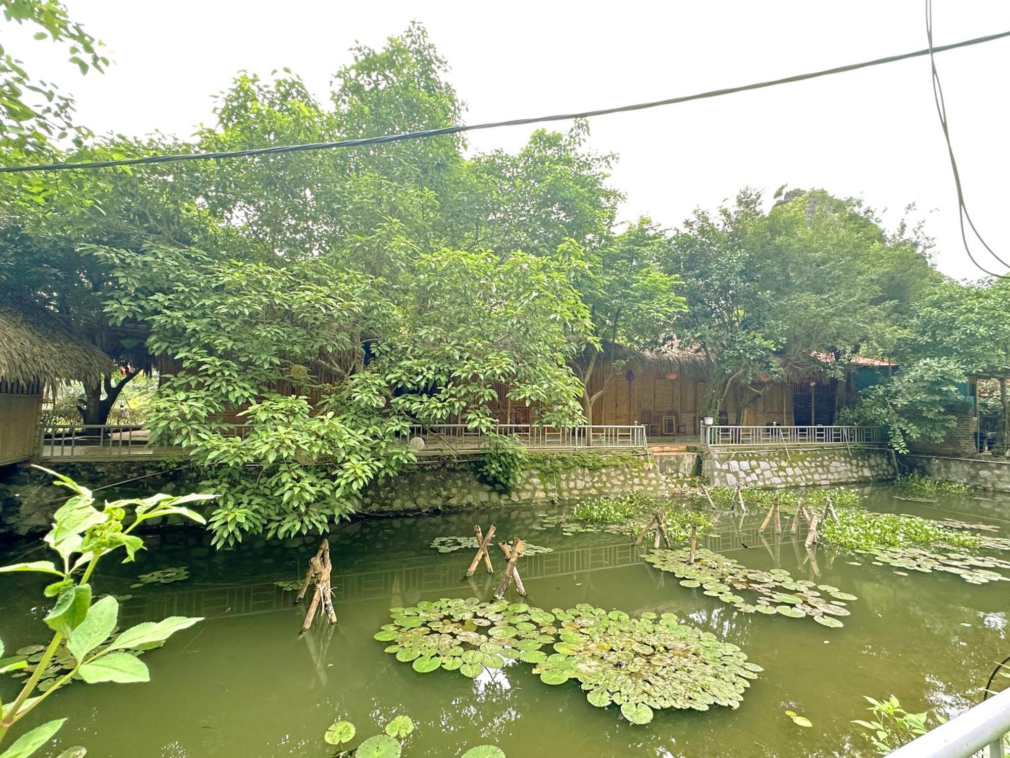 Quoc Khanh Bamboo Homestay Νιν Μπιν Εξωτερικό φωτογραφία