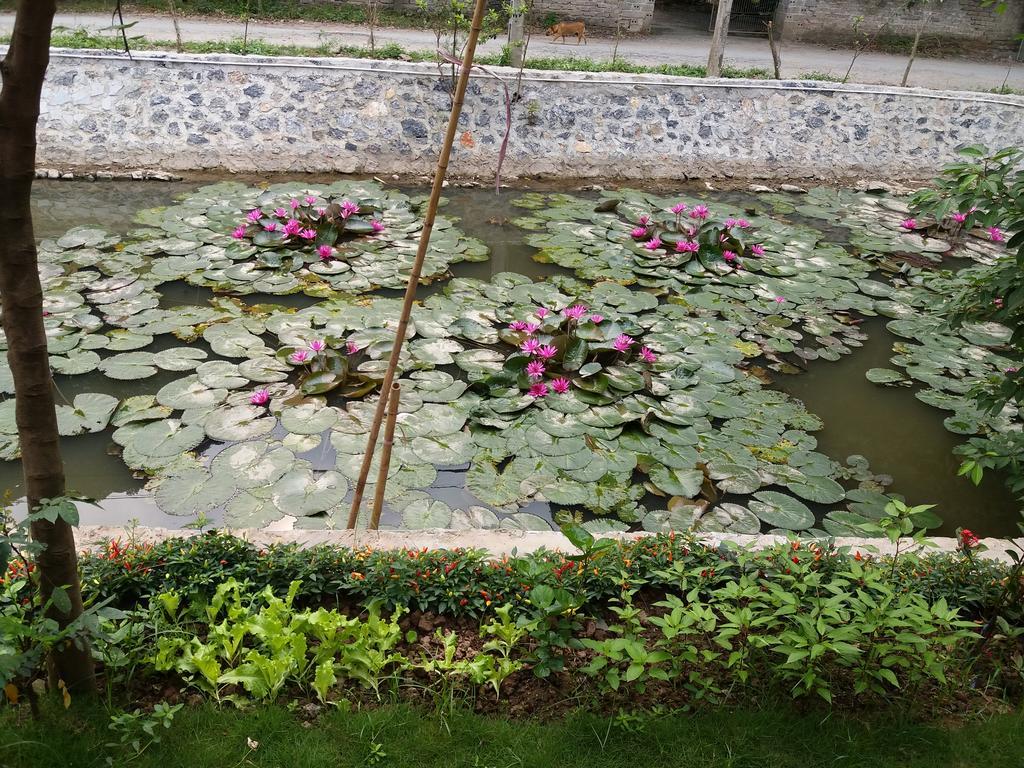Quoc Khanh Bamboo Homestay Νιν Μπιν Εξωτερικό φωτογραφία